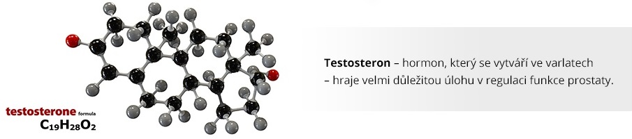 page_testosteron