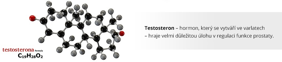 page_testosteron